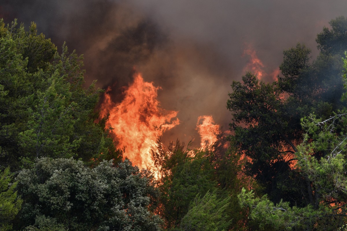 Υψηλός κίνδυνος πυρκαγιάς αύριο για έξι Περιφέρειες