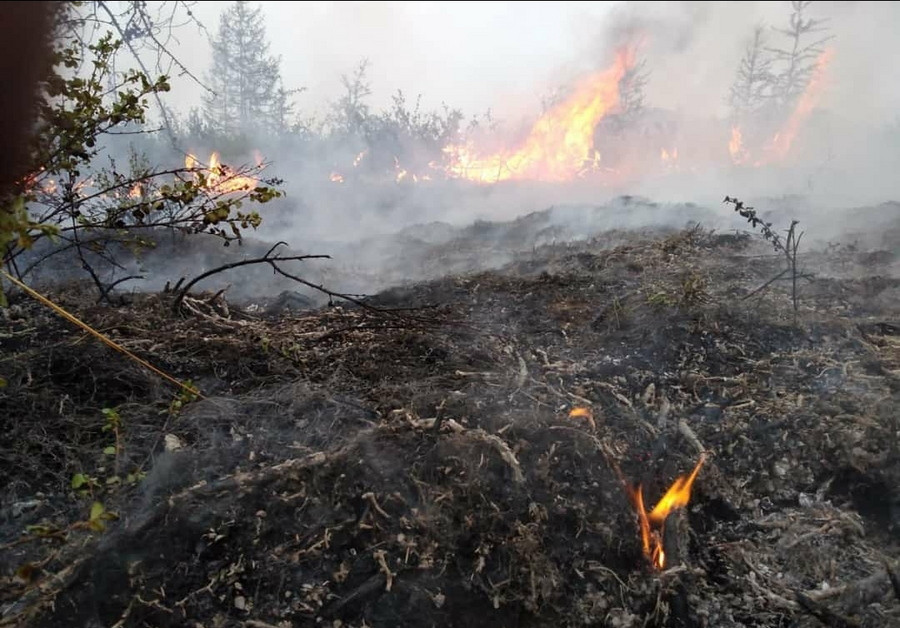 Πυρκαγιές στη Σιβηρία: Καίγονται εκατομμύρια στρέμματα δάσους – Ο καπνός φτάνει για πρώτη φορά στον Βόρειο Πόλο