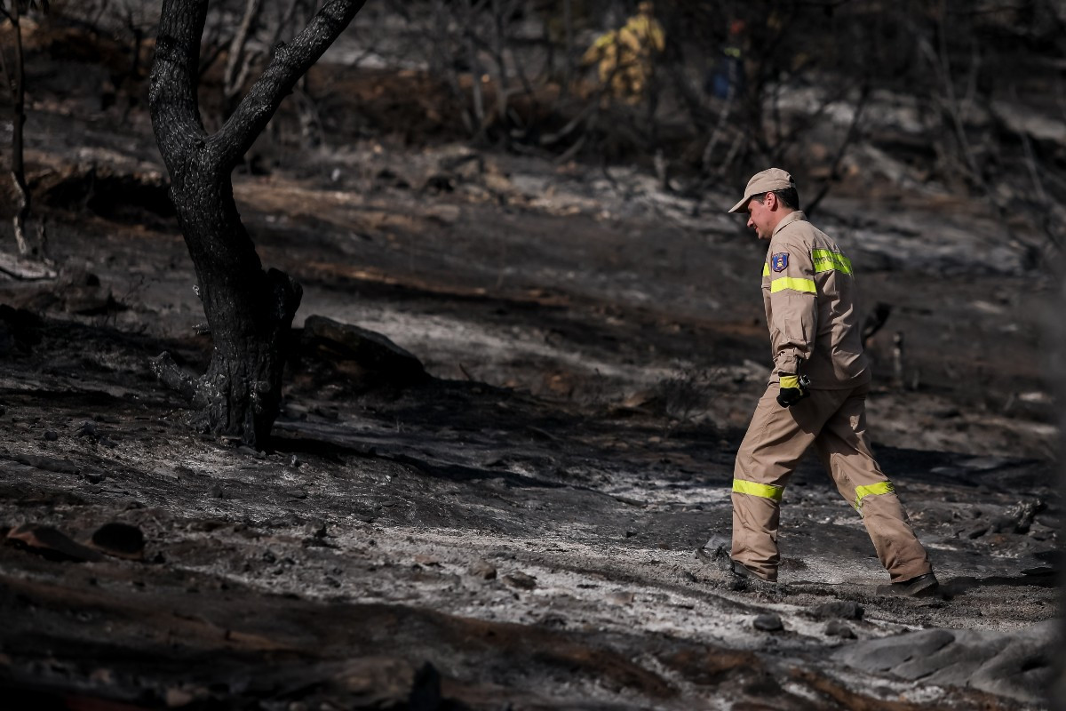 Δάση-πυρκαγιές: O απόηχος ενός δράματος, αιτίες και λύσεις