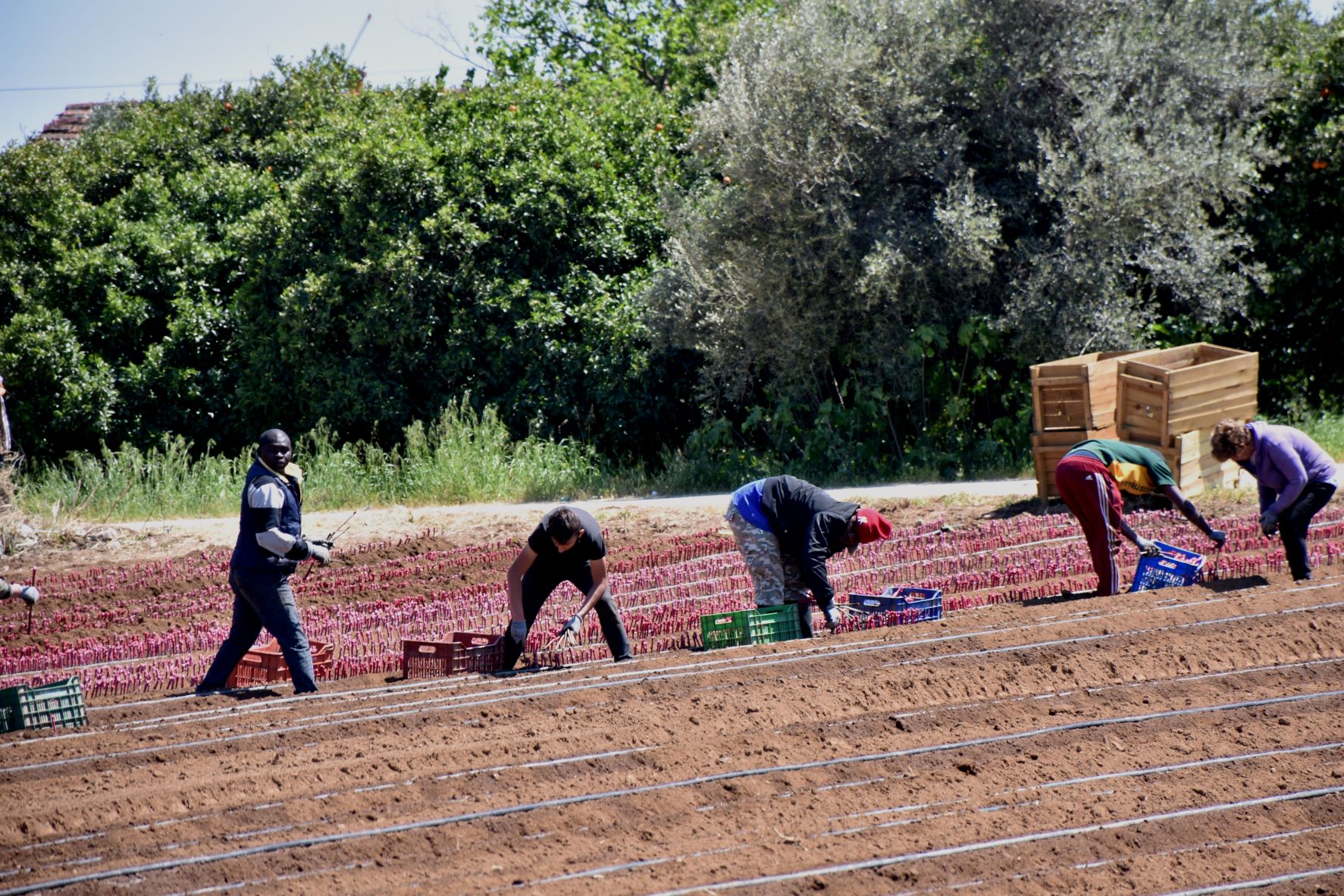 Τρεις στους τέσσερις εργοδότες θέλουν πρόσφυγες-μετανάστες στη δουλειά αλλά…