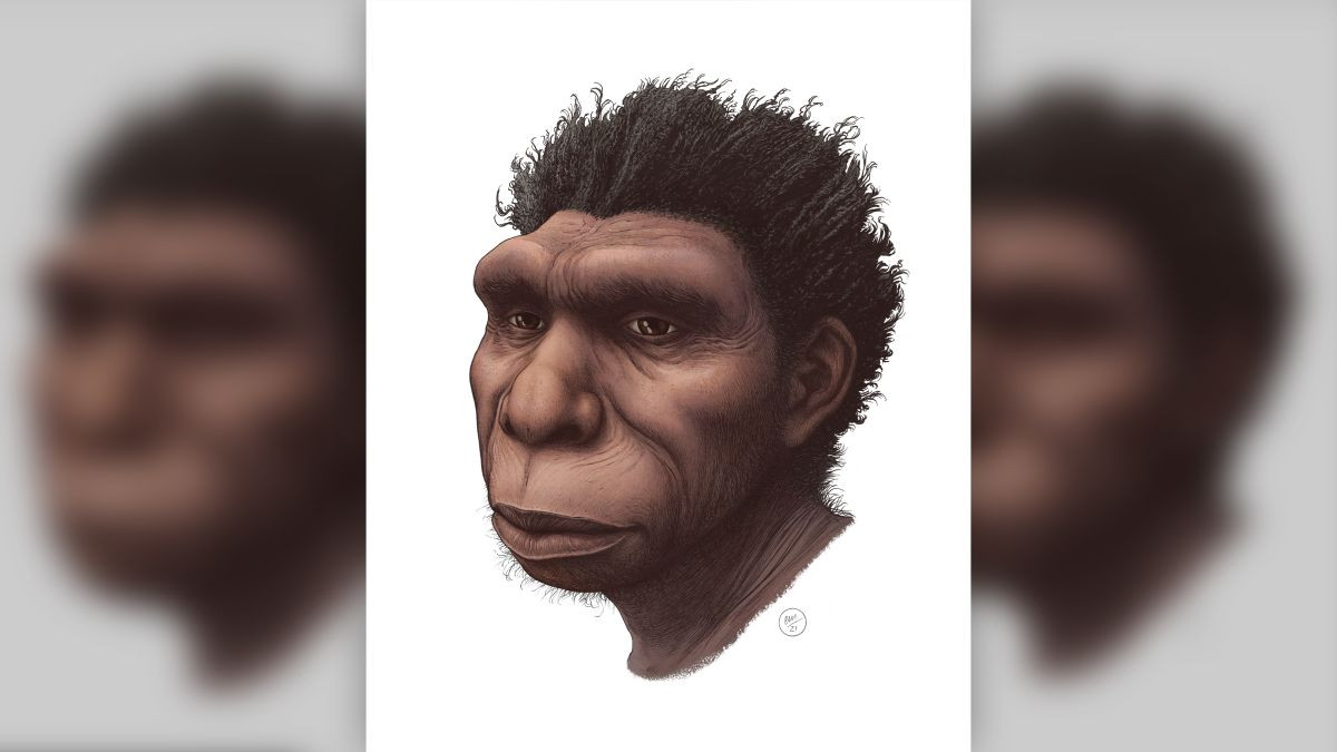 Homo bodoensis : Η ανακάλυψη ενός νέου προγόνου του ανθρώπου