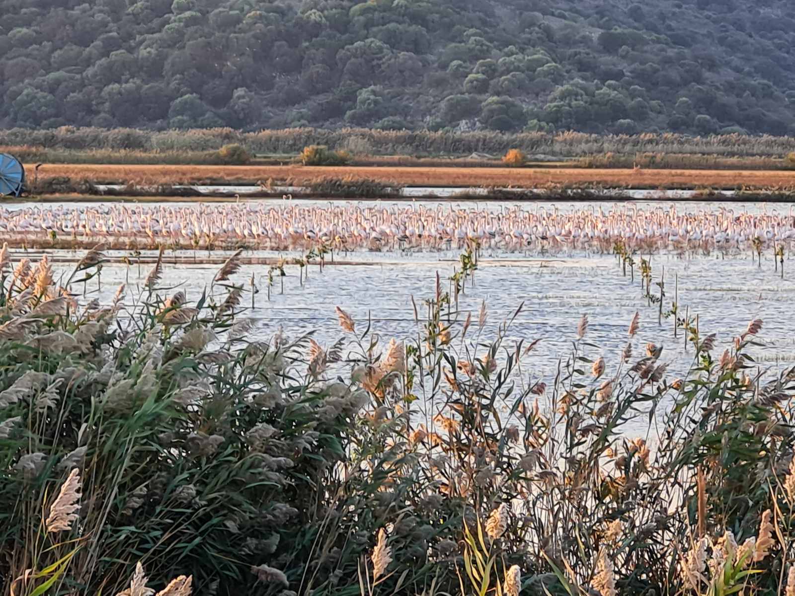 Το επιτελικό κράτος στις λάσπες και η γραβάτα της επικοινωνίας: Επιτόπια αυτοψία