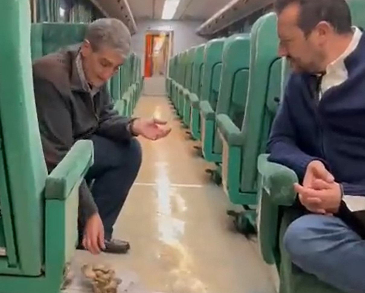 Ο Νίκος Παππάς και ο Χρήστος Γιαννούλης βρήκαν τα «μανιτάρια αλά τρέν»