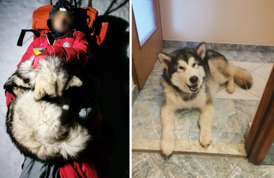 Διάσωση τραυματισμένου ορειβάτη στην Κροατία – Για 13 ώρες τον ζέσταινε ο σκύλος του