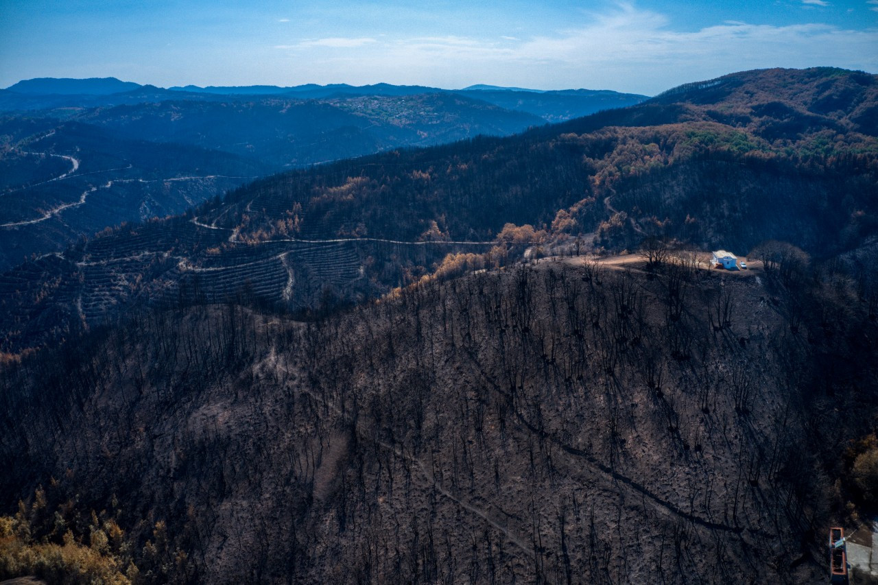 Δασικές πυρκαγιές: Το 2021 χειρότερη χρονιά των τελευταίων 13 ετών