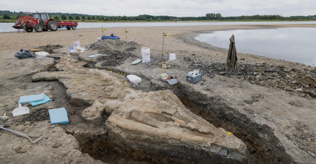 Βρετανία: Επιστήμονες ανακάλυψαν τον μεγαλύτερο θαλάσσιο προϊστορικό δεινόσαυρο