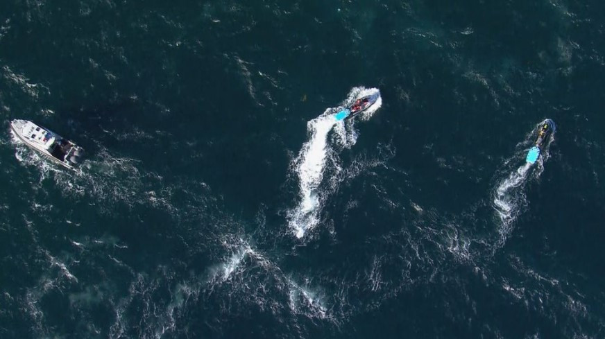 Καρχαρίας σκοτώνει κολυμβητή στην Αυστραλία – Η πρώτη θανάσιμη επίθεση καρχαρία στο Σίδνεί από το 1963 [Βίντεο]