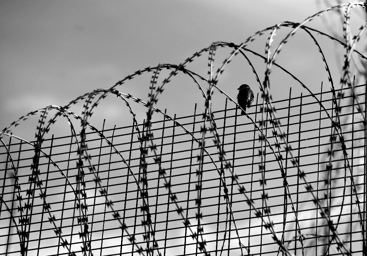 Αλλαγή Ποινικού Κώδικα: «Τρεις νέοι που πετούν μαζί μπογιές» πάνε απευθείας φυλακή