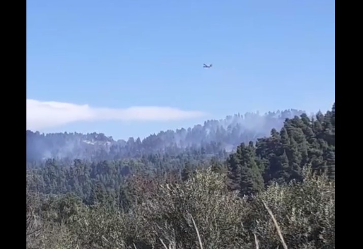 Μαίνεται δασική πυρκαγιά στη Χαλκιδική