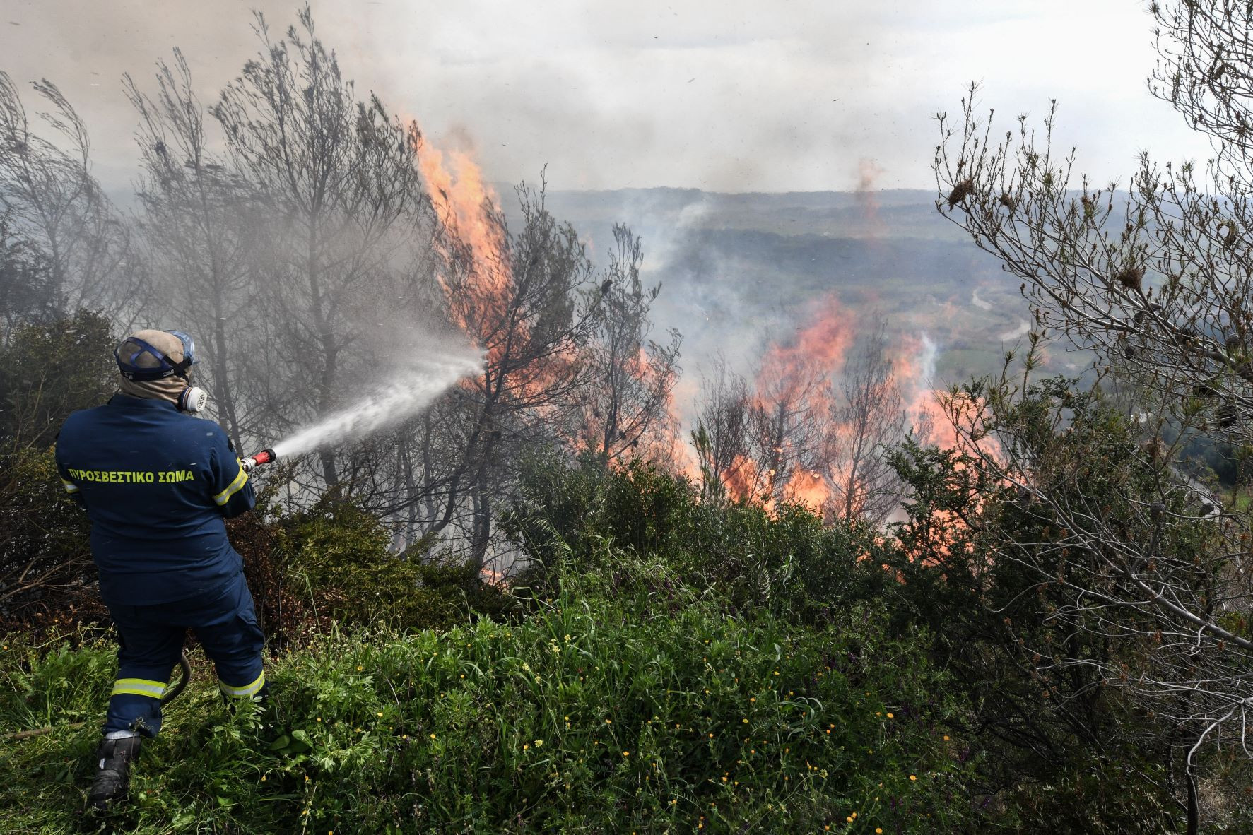 Αύξηση 750% στις δασικές πυρκαγιές πριν αρχίσει καν η αντιπυρική περίοδος