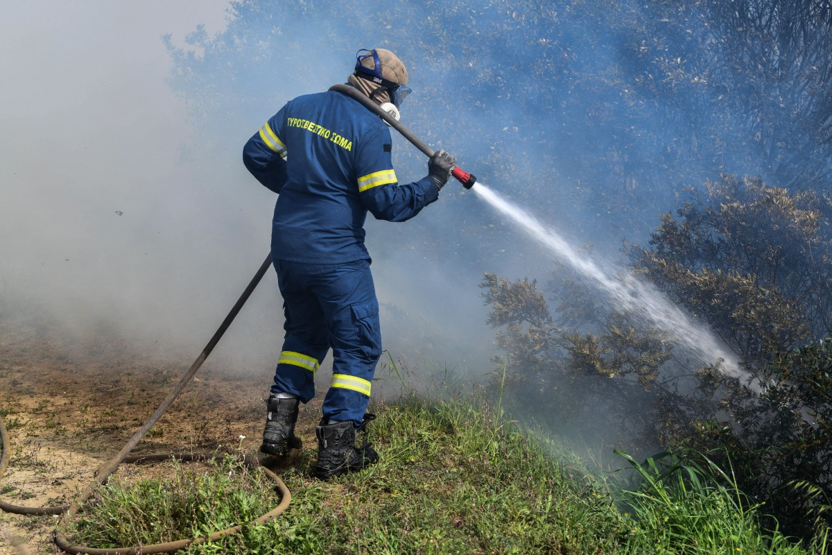 Πυρκαγιά σε δασική έκταση στο Λεόντιο της Νεμέας