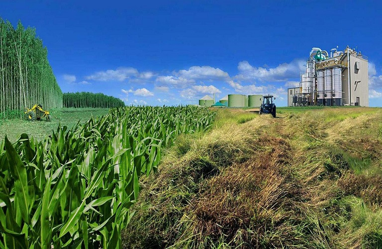 Στροφή της ΕΕ στα βιοκαύσιμα – «Βλάπτει τους κλιματικούς στόχους» λένε ακαδημαϊκοί