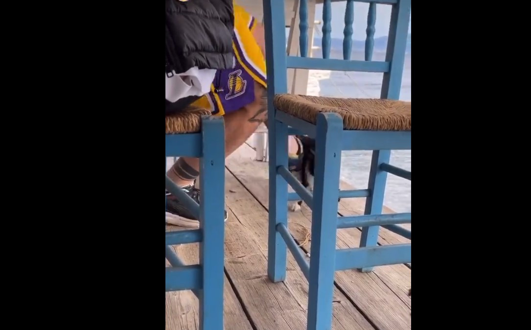 Αιδηψός: Αντιδράσεις για βίντεο με άνδρα που κλωτσάει γάτα και την ρίχνει στη θάλασσα – Τι απάντησε ο δράστης