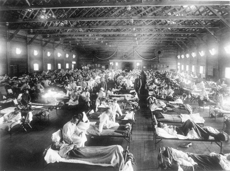 «Παιδί» της ισπανικής γρίπης του 1918 – 19, η Η1Ν1