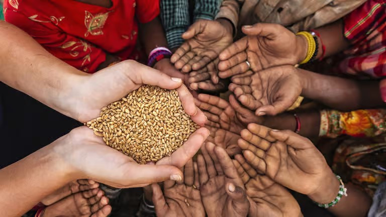 «Ξεμένουμε από χρήματα, κι αυτοί από ελπίδα»: Οι επιπτώσεις της παγκόσμιας επισιτιστικής κρίσης