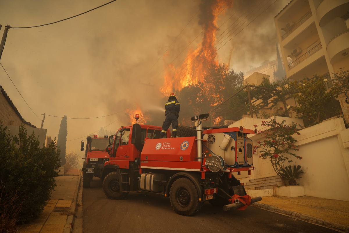 «Τα πουλιά πεθαίνουν πυρπολώντας»