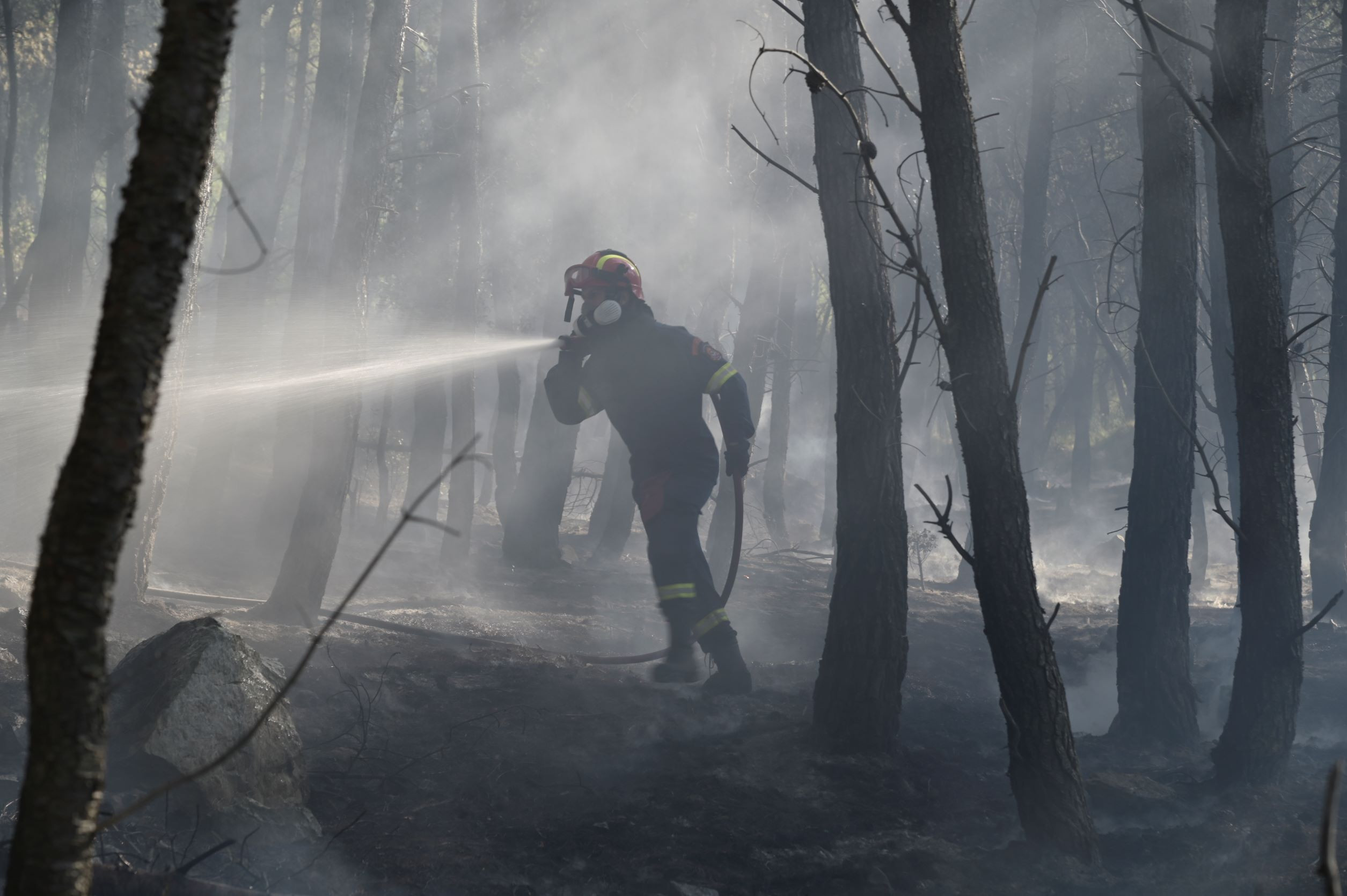 Συνεχίζεται η μάχη με τη φωτιά σε Ηλεία, Πόρτο Γερμενό, Φωκίδα