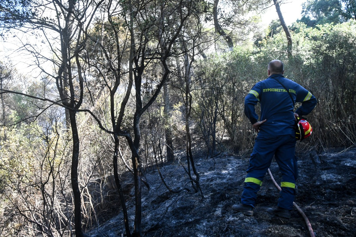 Ρέθυμνο: 40.000 στρέμματα υπολογίζεται ότι έχουν καεί από την φωτιά στο Άγιο Βασίλειο