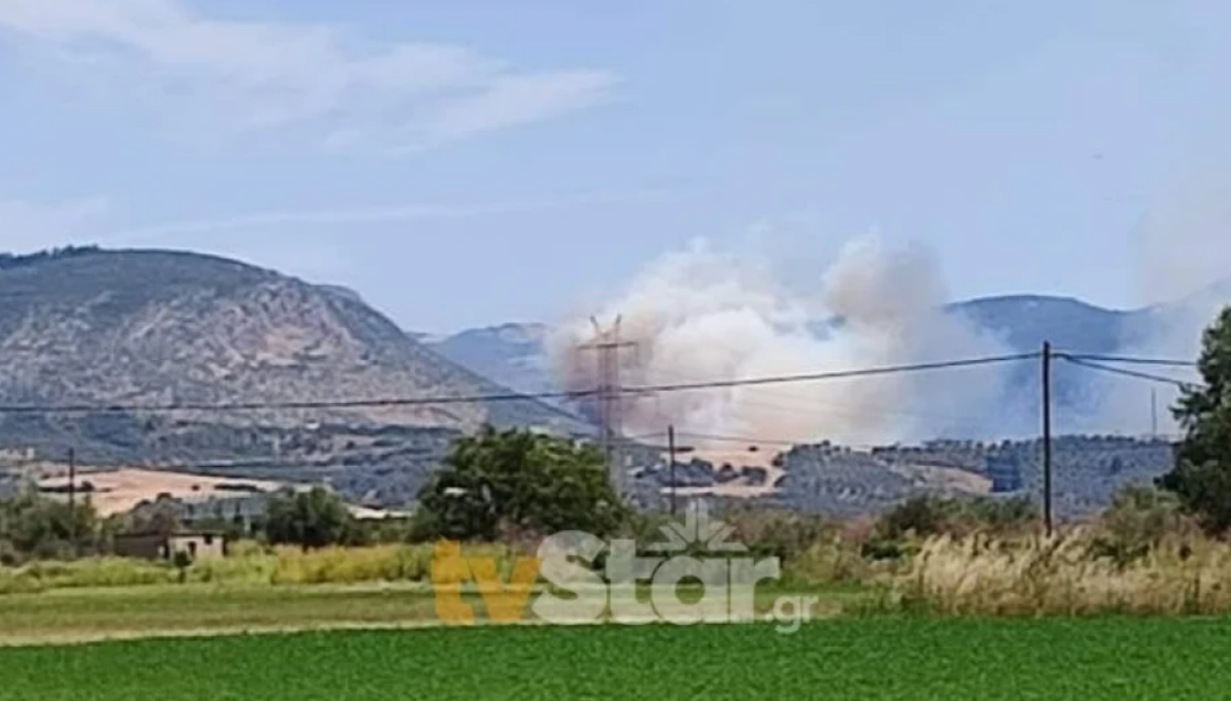 Φωτιά στην Ελάτεια Φθιώτιδας