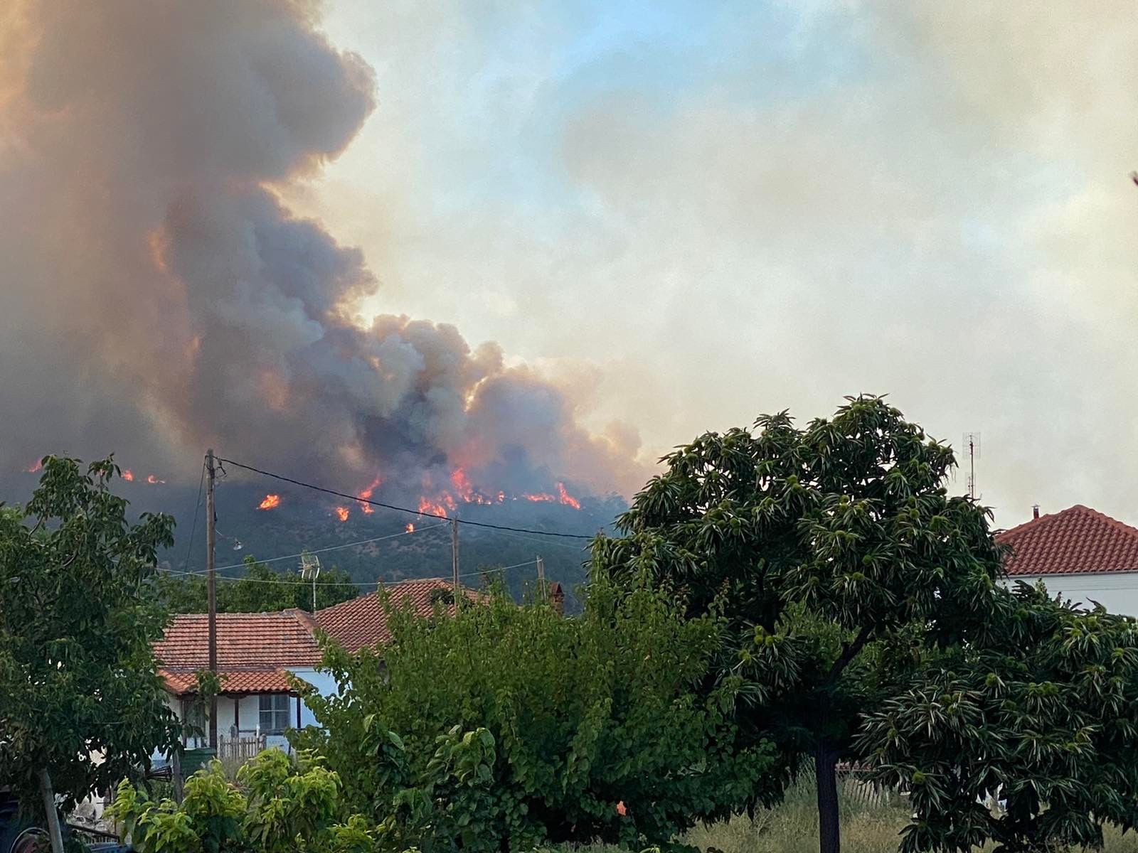Έβρος: Μαίνεται η φωτιά στο παρθένο δάσος της Δαδιάς