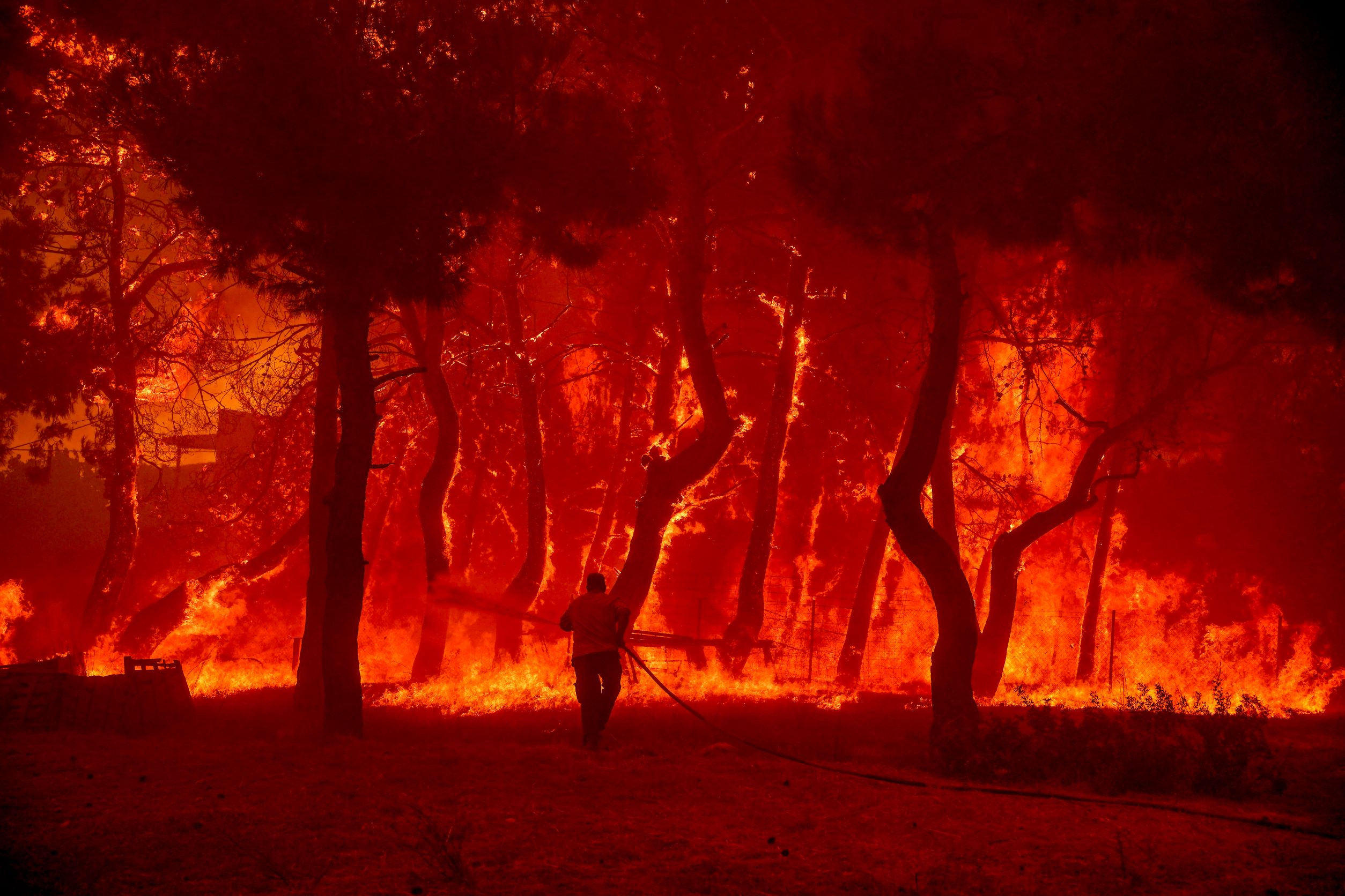 Λέσβος: Μεγάλη φωτιά στα Βατερά – Στάχτη περιουσίες και παρθένο δάσος