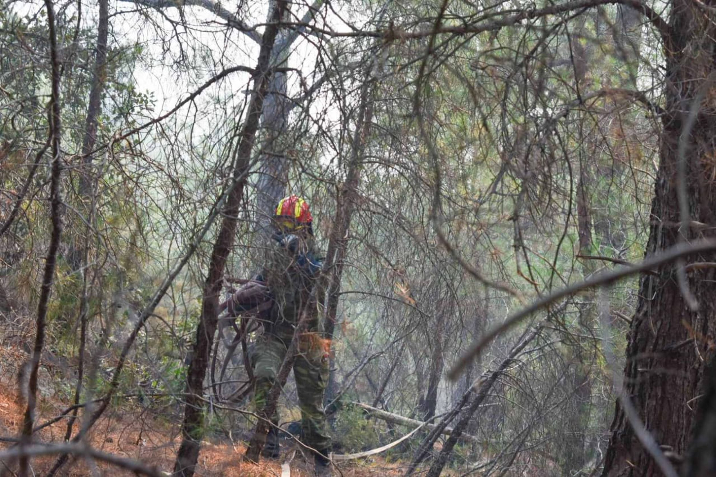 Καίγεται για τρίτη μέρα το Δάσος της Δαδιάς στον Έβρο – Η φωτιά απειλεί και το χωριό