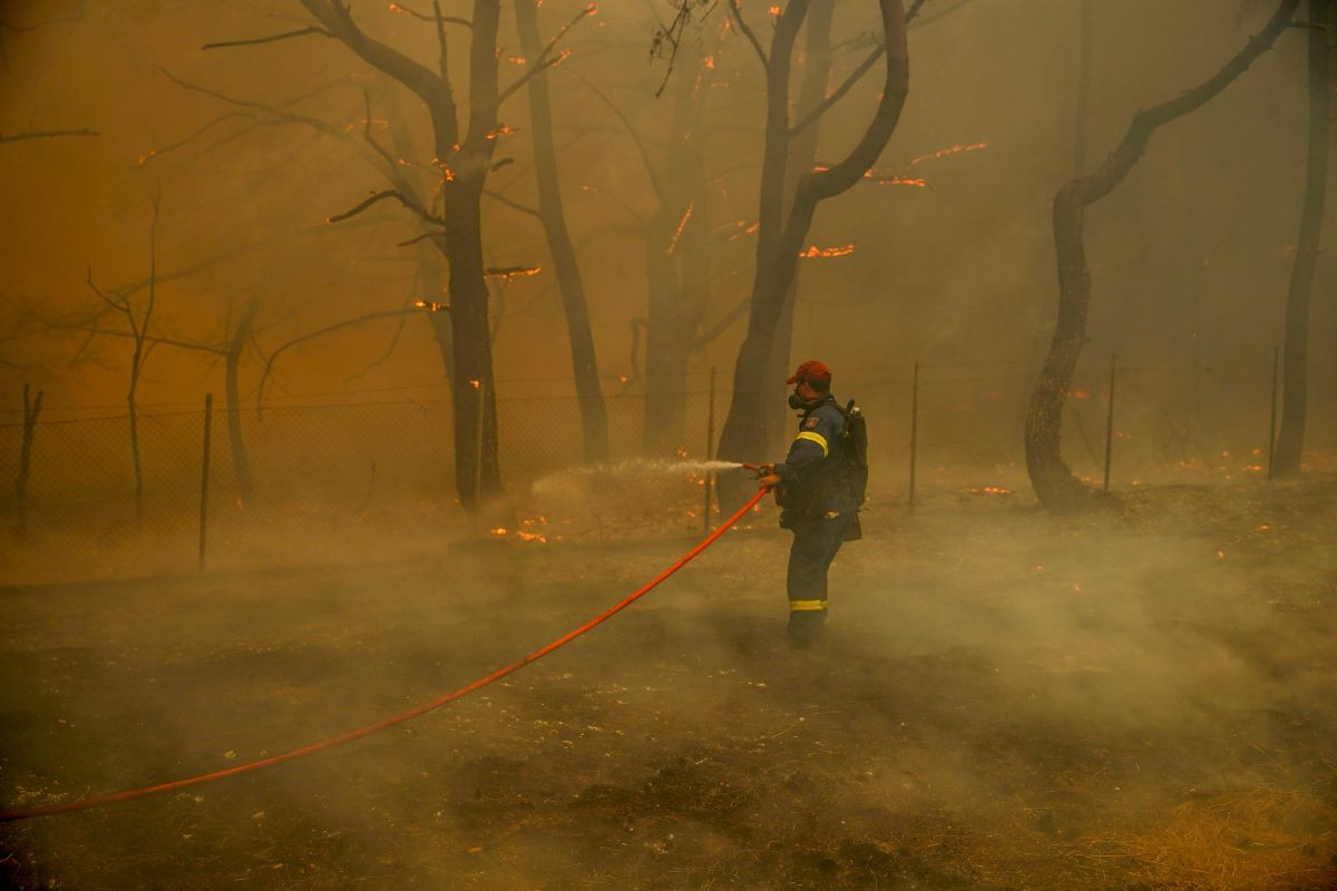 Πυροσβεστική: Συνολικά 53 δασικές πυρκαγιές εκδηλώθηκαν το τελευταίο 24ωρο