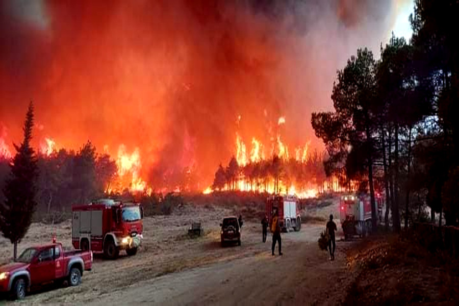 Καίγεται για τέταρτη ημέρα το δάσος της Δαδιάς – Νέα εκκένωση προς Σουφλί και Γιαννούλη [Βίντεο]