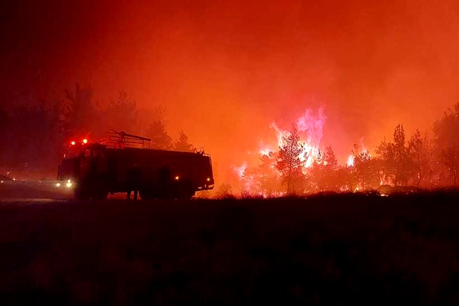 Στις φλόγες για πέμπτη ημέρα το Δάσος της Δαδιάς – Βίντεο μέσα από το Εθνικό Πάρκο
