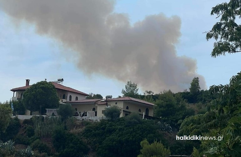 Τρία πύρινα μέτωπα στη Χαλκιδική