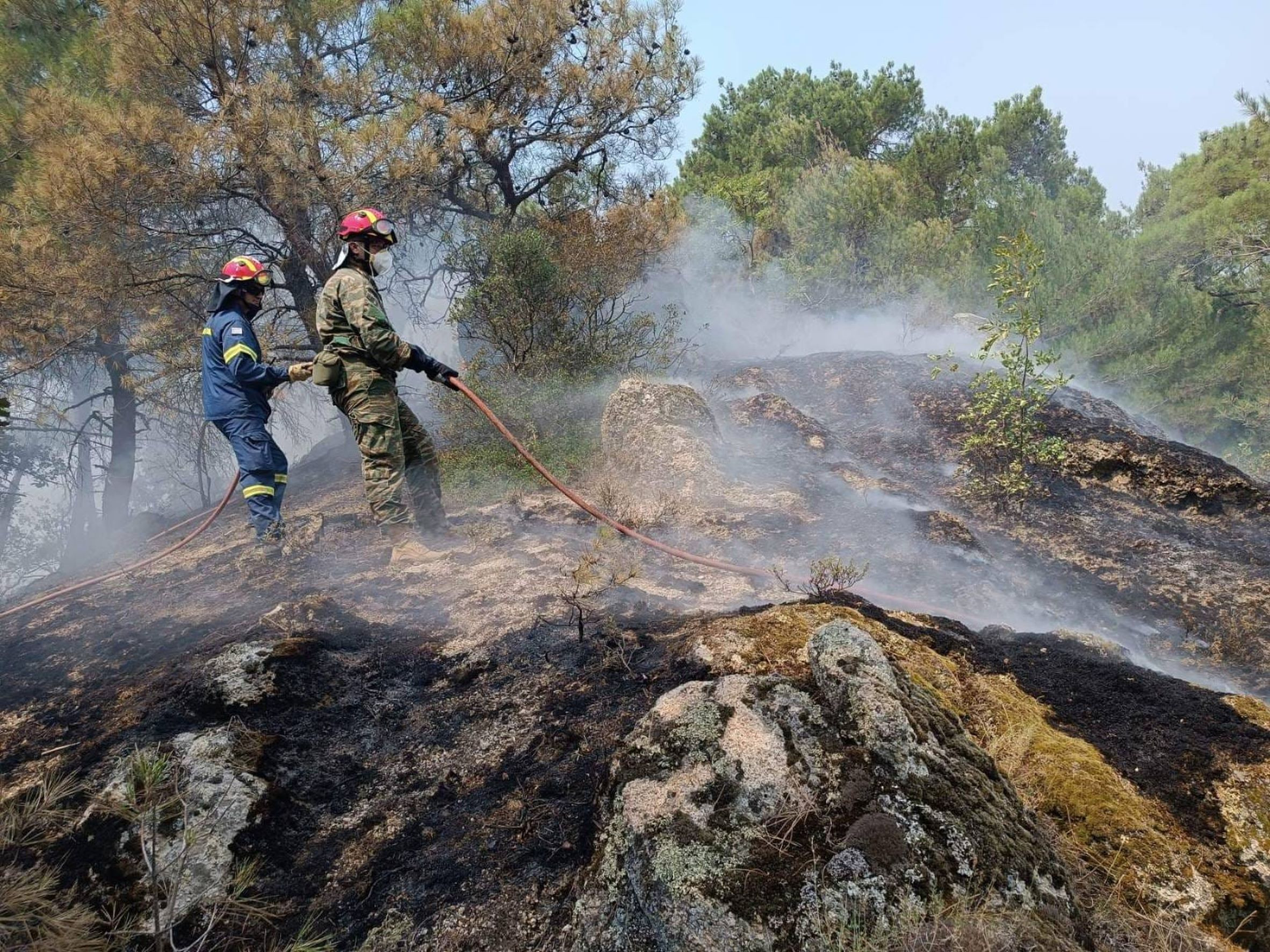 Φωτιά στο Δάσος της Δαδιάς: Για πρώτη φορά στη μάχη το «αντιπυρ»