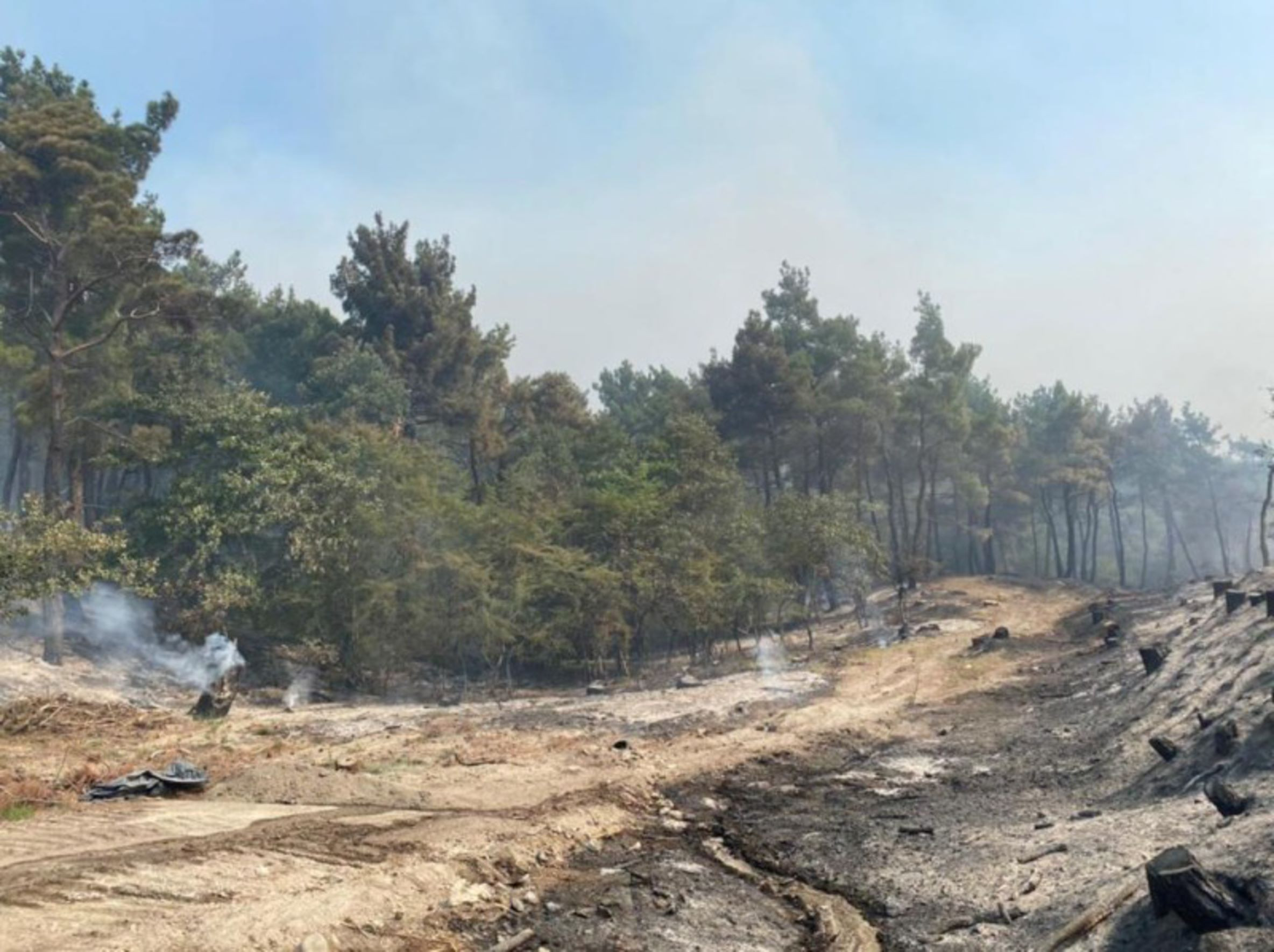Φωτιά στο Δάσος της Δαδιάς: Νοτιοδυτικά το κύριο μέτωπο – Εικόνες καταστροφής