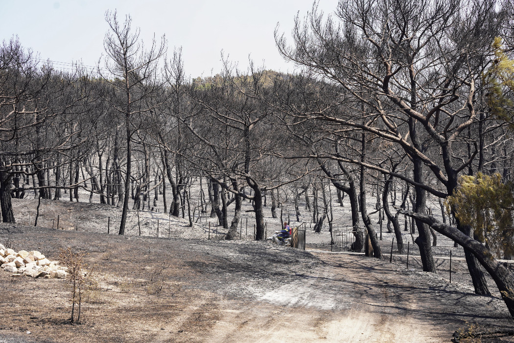 Πάνω από 20.000 στρέμματα κάηκαν στη Λέσβο