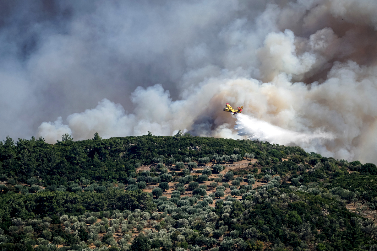 Αναζωπύρωση της φωτιάς στη Λέσβο [Βίντεο]