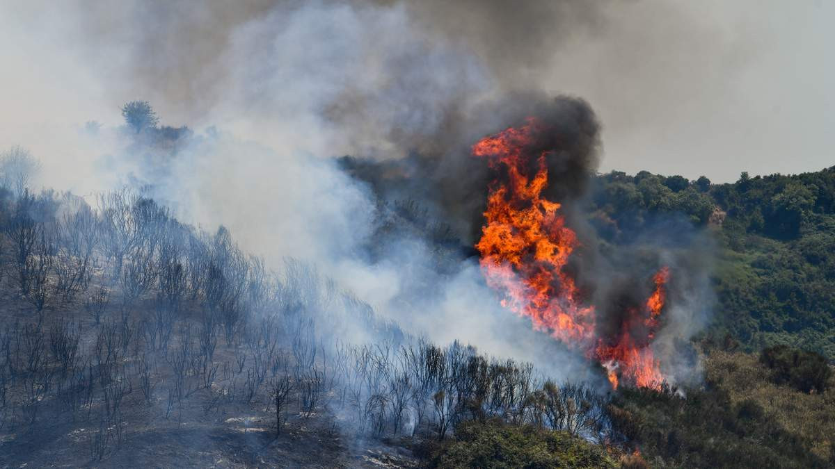 Πολιτική αντιπαράθεση για τη φωτιά στο δάσος της Δαδιάς