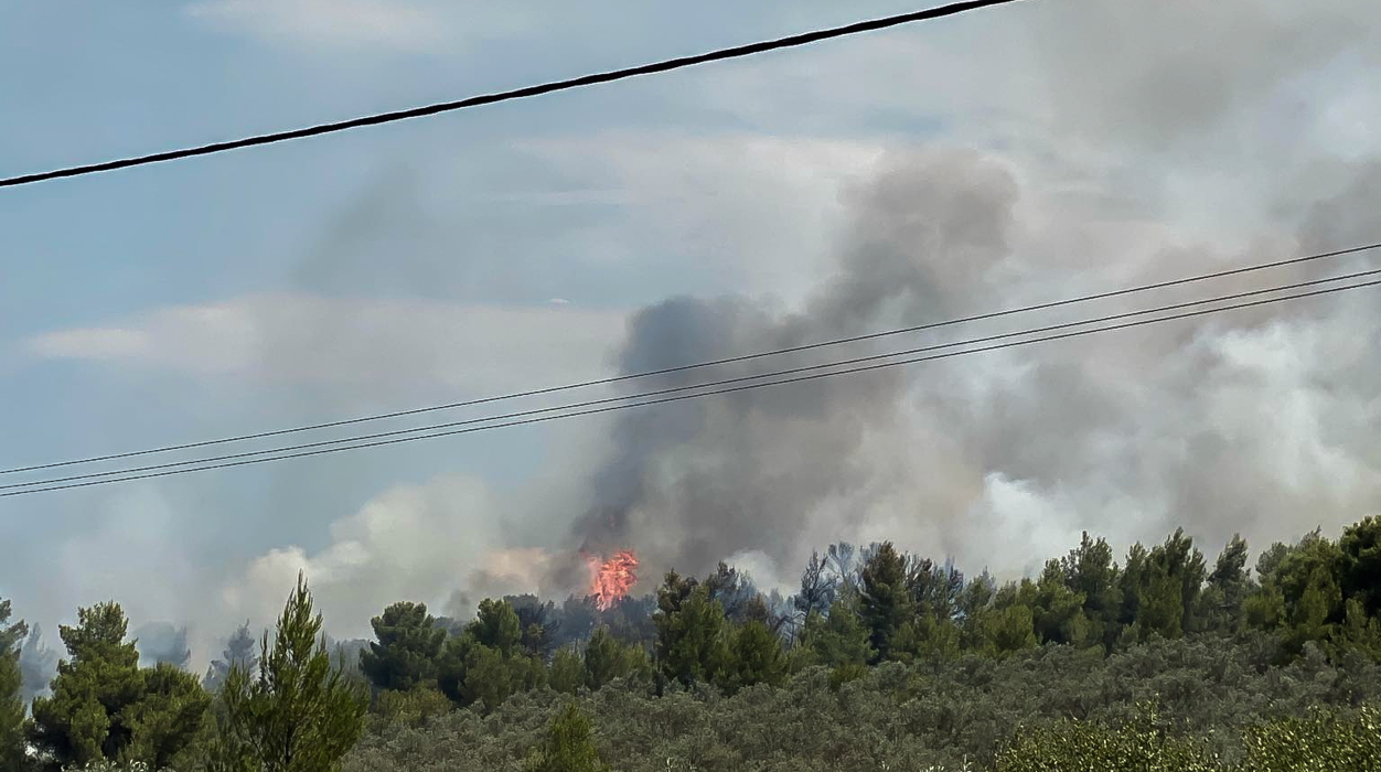 Φωτιά σε αγροτοδασική έκταση στη Φθιώτιδα