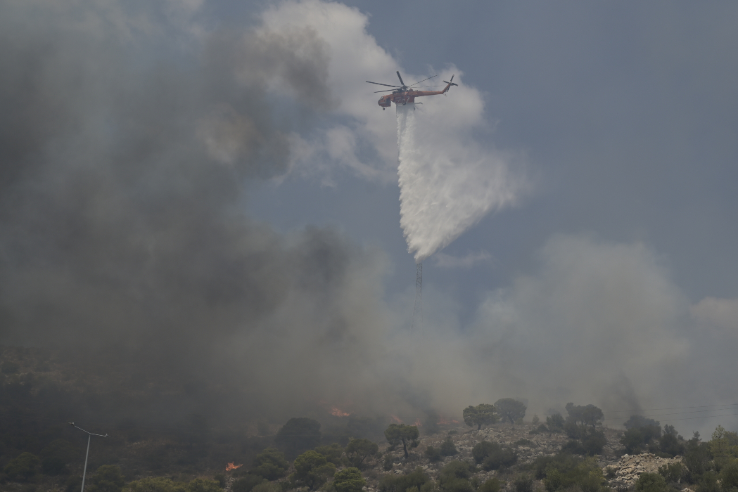 Πυρκαγιά στη Βασιλική Λακωνίας