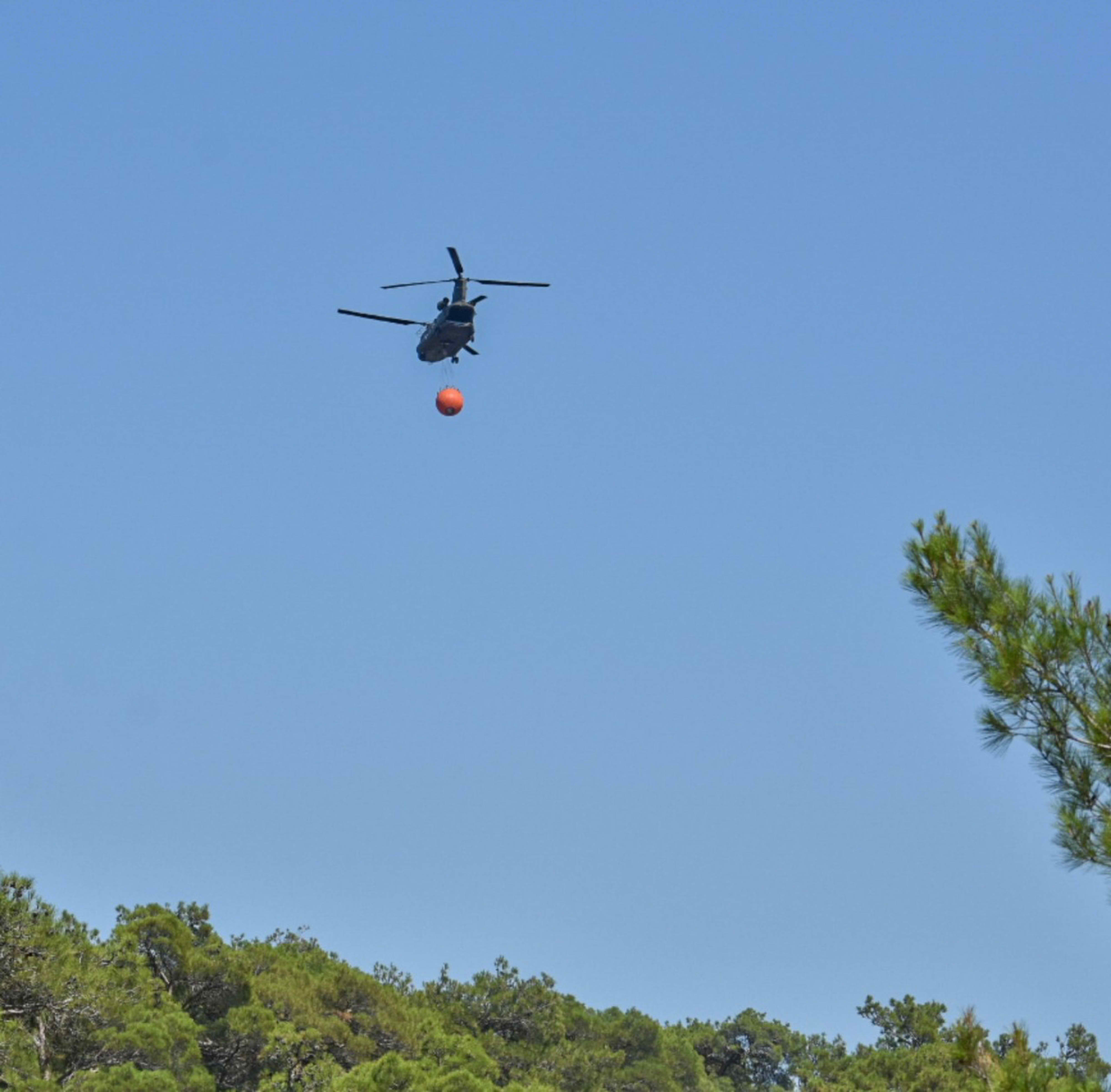 Φωτιά σε δάσος στο χωριό Ορεινή των Σερρών