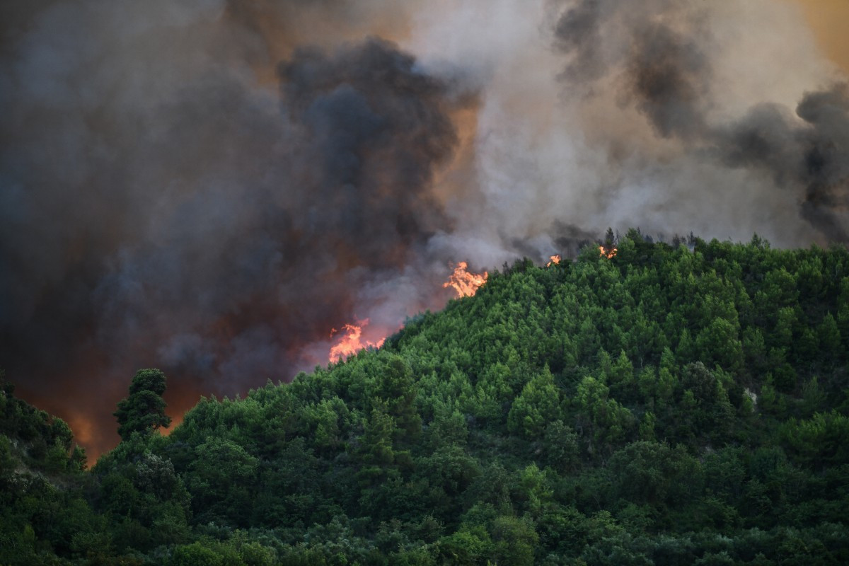 Ηλεία: Φωτιά σε δάσος στην περιοχή Νεάπολη