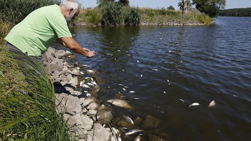 «Νεκρά ψάρια παντού»: Φόβοι για περιβαλλοντική καταστροφή στον ποταμό Όντερ στη Γερμανία