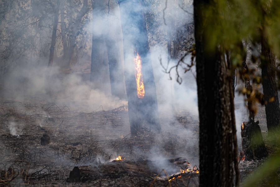 Ρεκόρ καμένων εκτάσεων φέτος στην Ευρώπη πριν καν τελειώσει η περίοδος αιχμής των πυρκαγιών