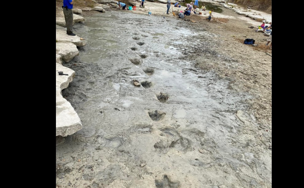 Τέξας: Η ξηρασία αποκάλυψε ίχνη δεινοσαύρων σε κοίτη ποταμού