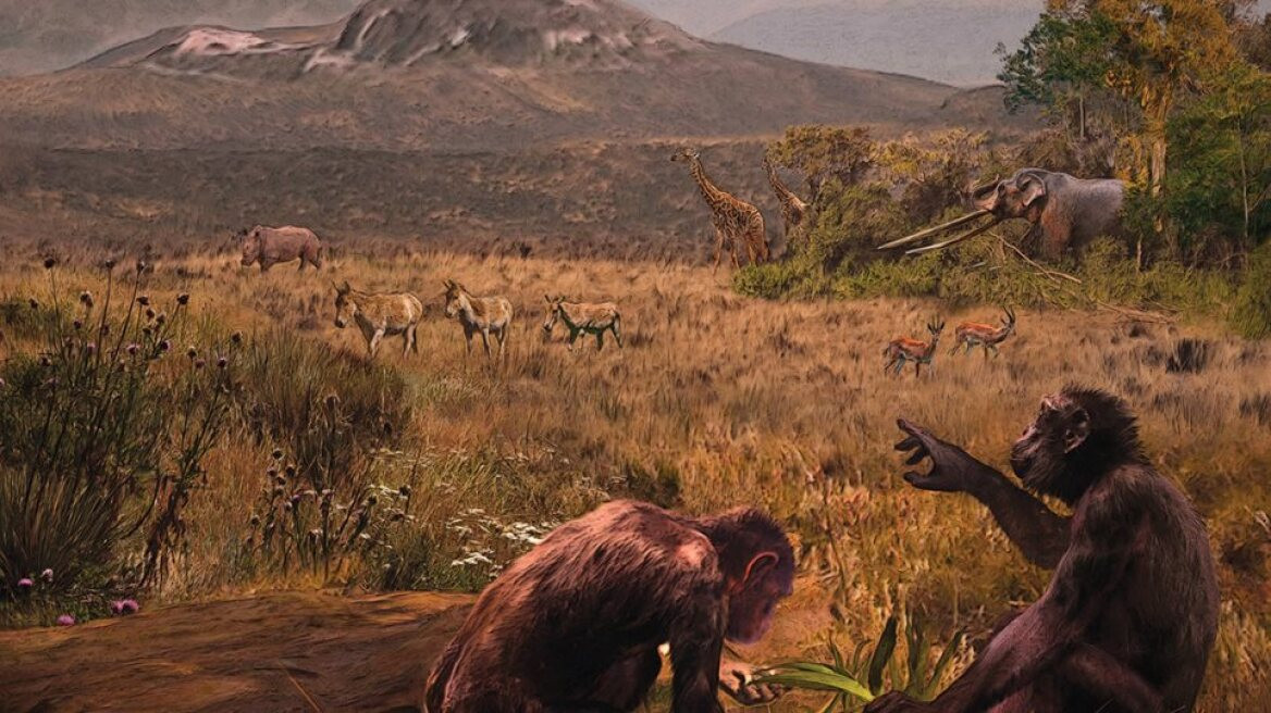 Σαχελάνθρωπος: Ο αρχαίος πρόγονος που περπατούσε στα δύο πόδια ήδη πριν 7 εκατομμύρια χρόνια