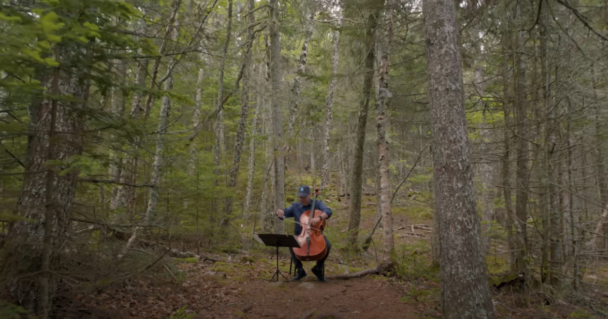 Ο κορυφαίος μουσικός Yo-Yo Ma παίζει τσέλο στο δάσος και τραγουδούν τα πουλιά [ΒΙΝΤΕΟ]