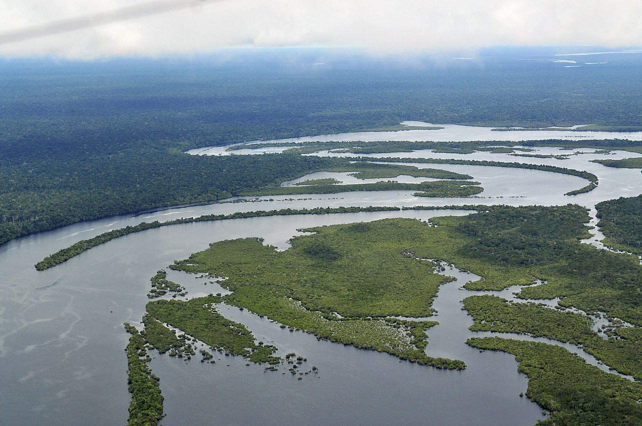 Μη αναστρέψιμη η καταστροφή του 26% της Αμαζονίας