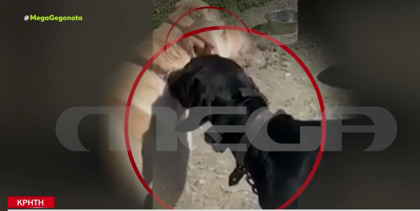 Κρήτη: Κακουργηματική δίωξη στον 67χρονο που έβαλε ηλεκτροφόρο κολάρο στον σκύλο του