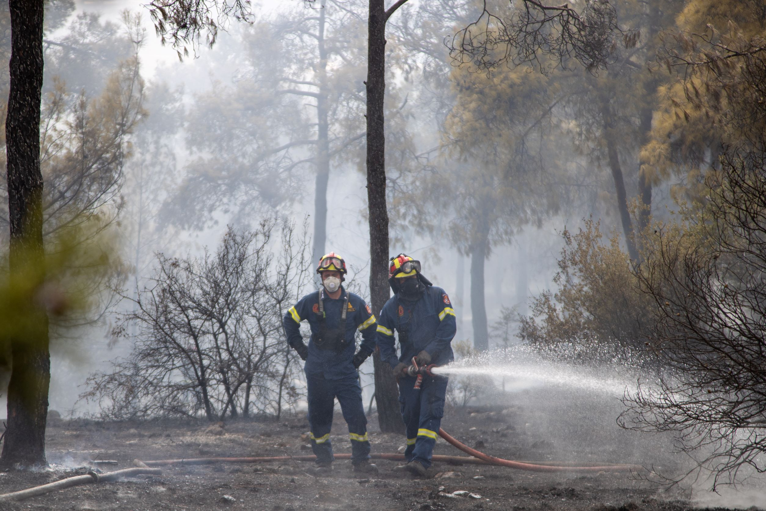 Δασικές πυρκαγιές: Γιατί ήταν πολλές σε αριθμό και μικρότερες σε έκταση