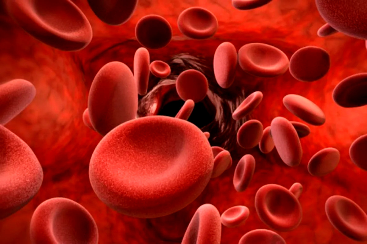 «Επανάσταση» στην ιατρική: Δημιουργήθηκε αίμα σε εργαστήριο
