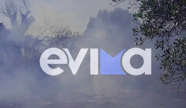 Εύβοια: Φωτιά εκδηλώθηκε στην Ερέτρια – Βρίσκεται κοντά σε ξενοδοχείο