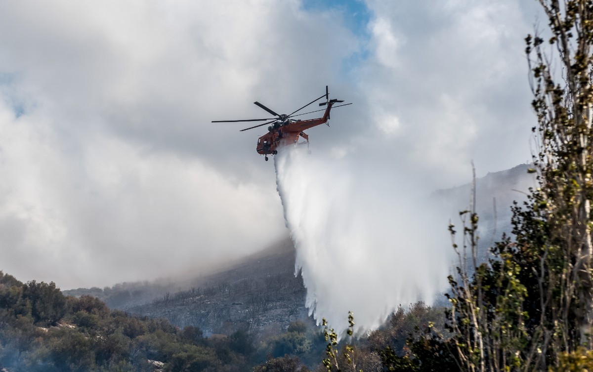 Εύβοια: Μεγάλη οικολογική ζημιά στα Ψαχνά από την πυρκαγιά